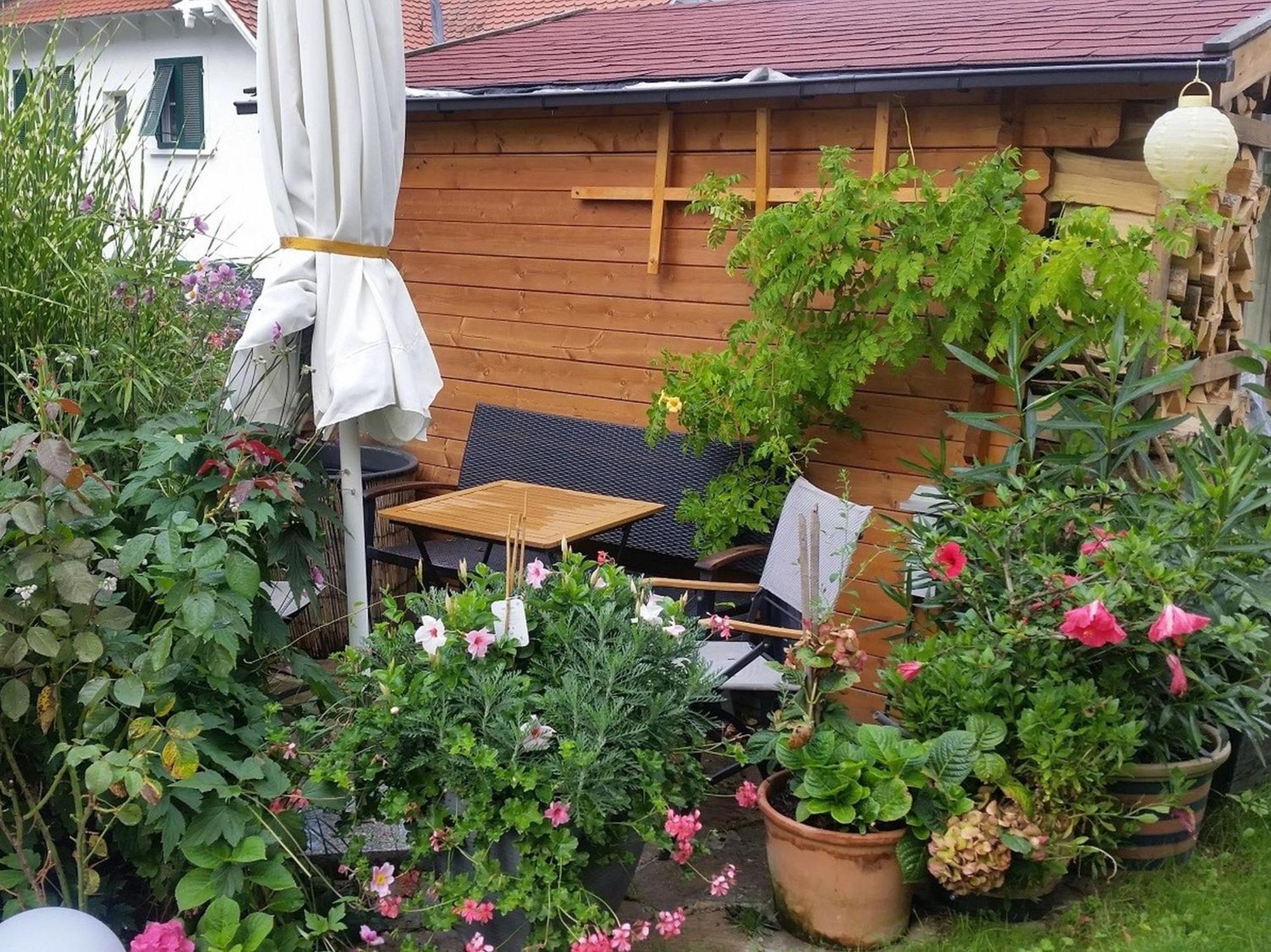 Ferienwohnung Am Berg, 35Qm Rickenbach  Luaran gambar