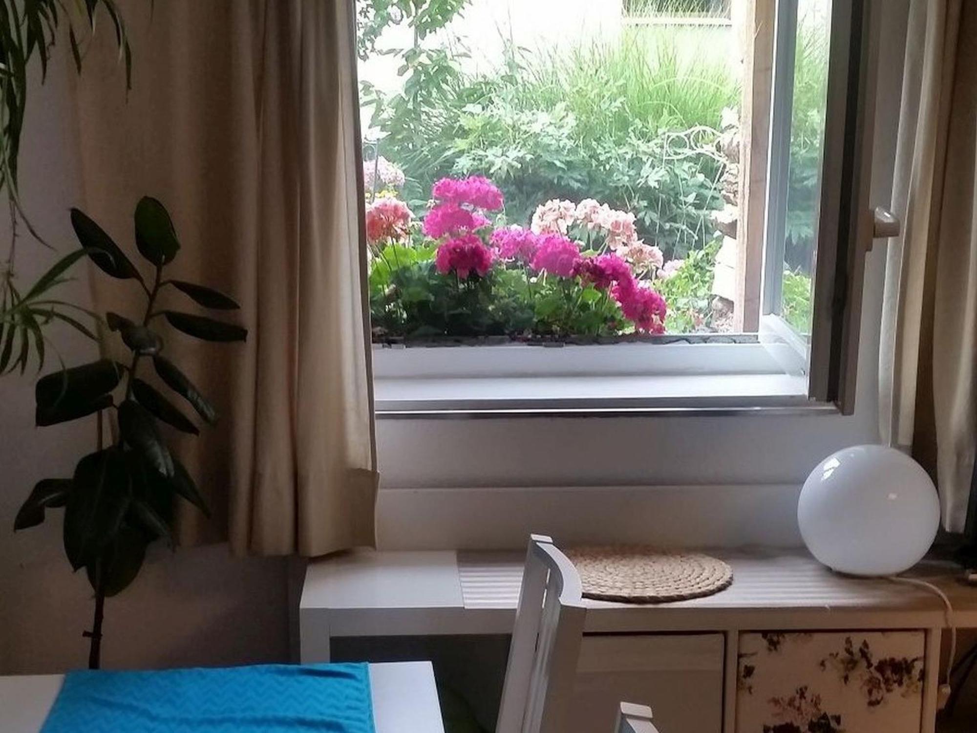 Ferienwohnung Am Berg, 35Qm Rickenbach  Luaran gambar